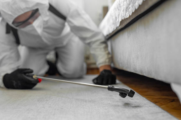 Professional Bed Bug Control technician working in East Peoria, IL